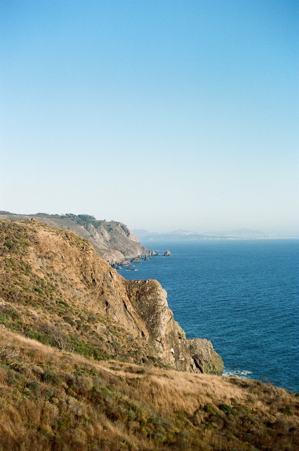 2022 Folly of the Beast Pinot Noir