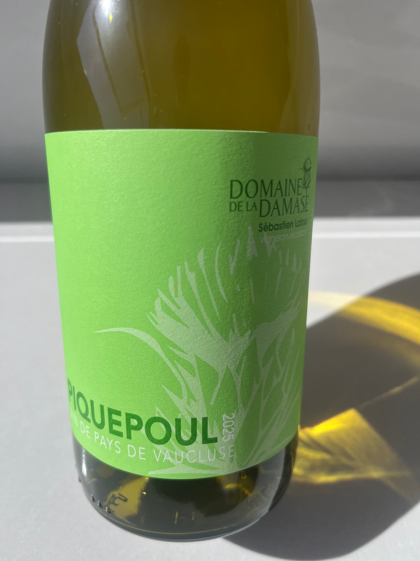 2025 Domaine de la Damase Piquepoul