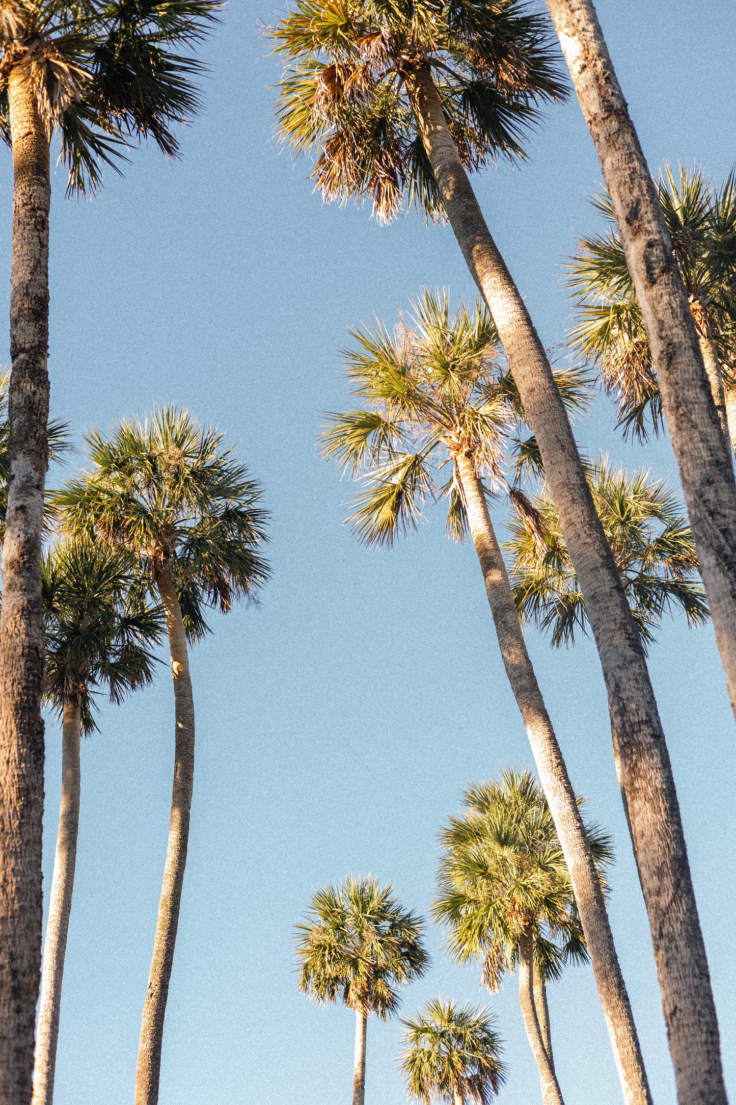 2023 Hubba Valdiguié